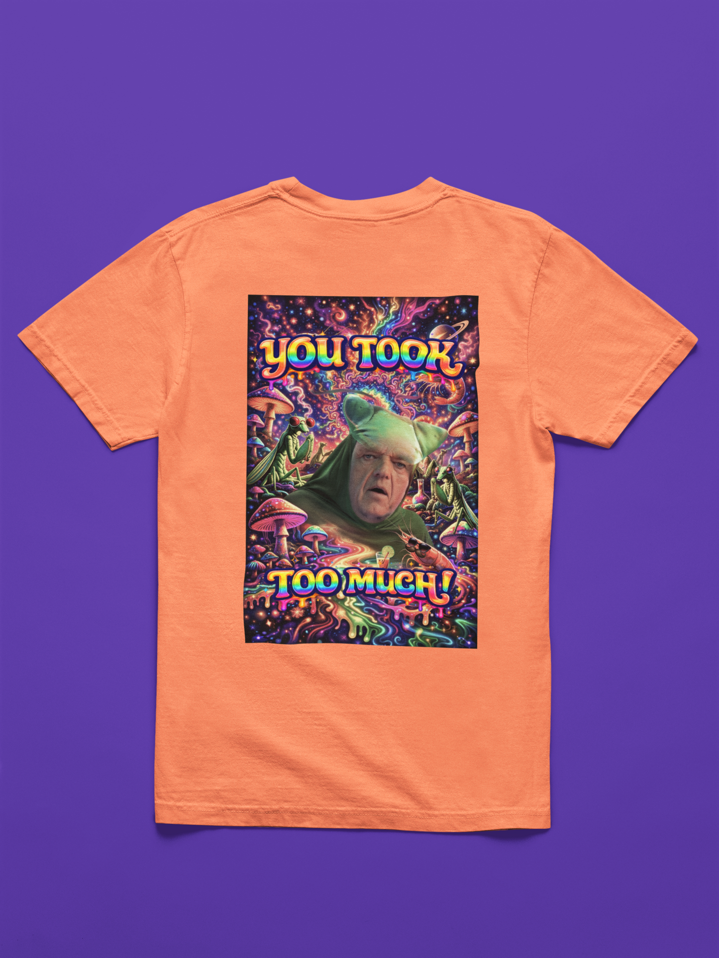 “You Took Too Much 2” - A  Doinkles Exclusive T-shirt
