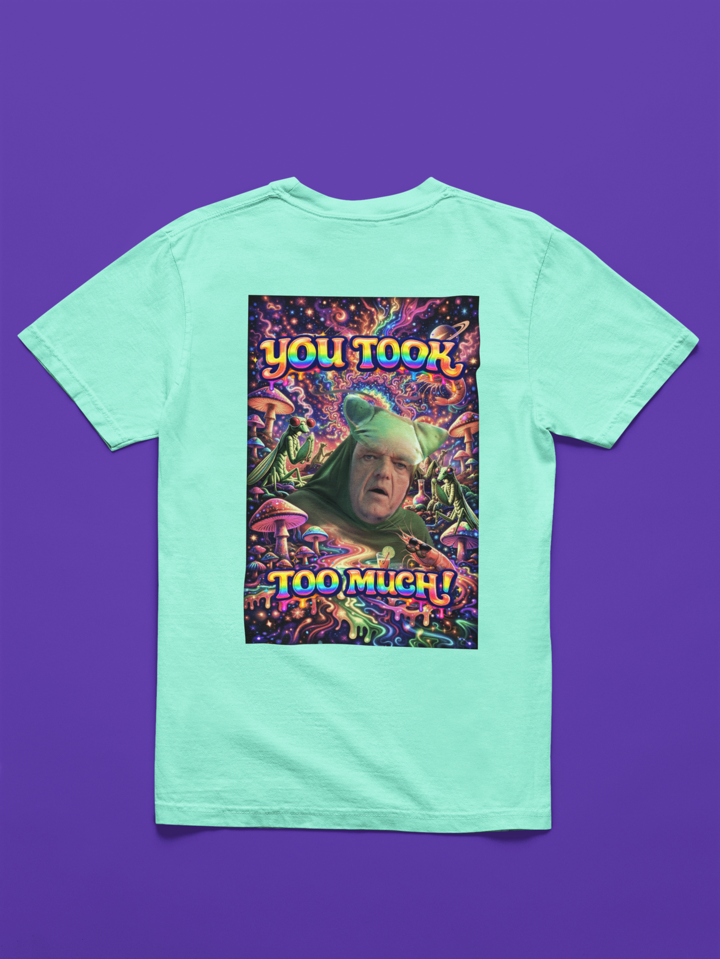 “You Took Too Much 2” - A  Doinkles Exclusive T-shirt