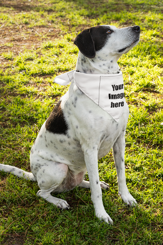 Back and white spotted dog in bandana 